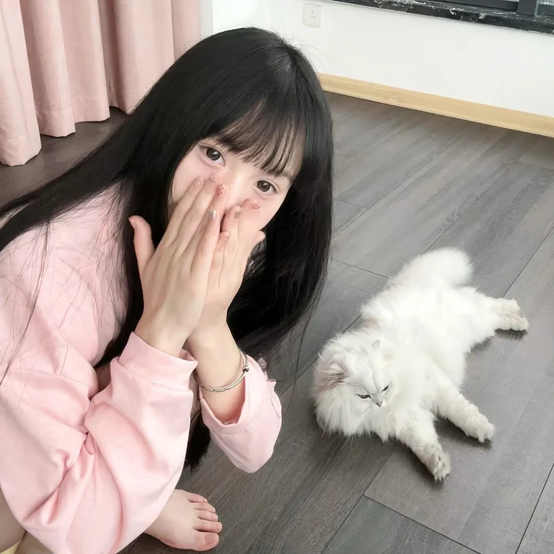 我的女官大人